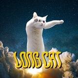 Longcat - Portal
