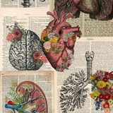 Medical & Health 🩺