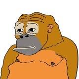 MONKE 🦧 Ape standing together