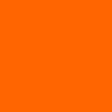 ORANGE GANG $ORANGE 🟧