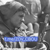 ZOV_СВОИ