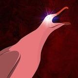 🐦 Steve Portal 🐦