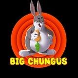 BIG CHUNGUS -ENTRY-