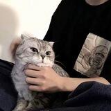 星星一手收dk粉