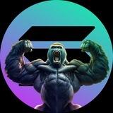 🦍KINGKONG｜Portal🦍