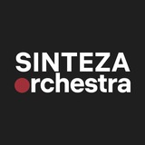 Sinteza Orchestra
