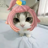 LPM UCING, FREE OOT /ᐠ ིྀ⑅◞ ༝ ◟マ