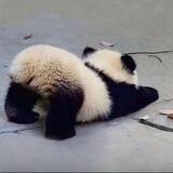 场地直招📱口