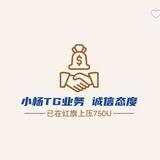 小杨TG /强拉/引流/僵尸粉/代开会员 （已在红旗上压750u）