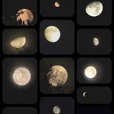 Lunaphila’s Archive!