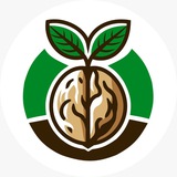 ORGANIC POWER