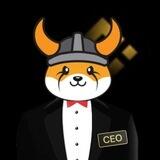 Binance Floki CEO