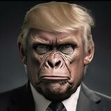 MAGA(Make Apes Great Again)