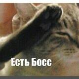 Говорит и показывает