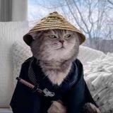 成都·楼凤·外围·萝莉·嫩妹·免费·资源