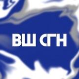 Высшая школа социально-гуманитарных наук РЭУ