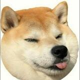 FAT DOGE