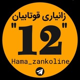 گروپی زانیاری پۆلی ١٢