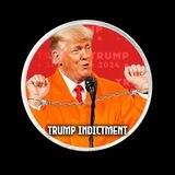 Trump Indictment Portal