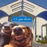 دانشگاه خیلی آزاد