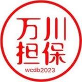 万川担保资源 担保真准@wcdb01