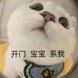 小宝洗资（菠菜料子无三黑）