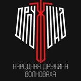НАРОДНАЯ ДРУЖИНА | Волноваха