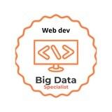 Web development