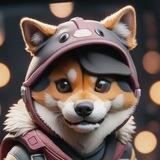 Doge𝕏 Portal