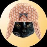 Catdashian $CATD