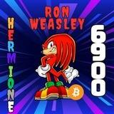 RonWeasleyHermioneGrangerKnuckles69Inu