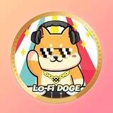 Lo-Fi DOGE Portal