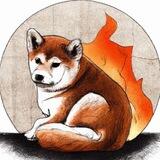 Akai | Burn $SHIB