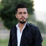 ARAS BOKANI