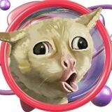 Dyslexic Autistic Cat | Portal