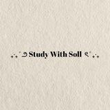 ₊‧₊˚౨ Study With Ssoll ৎ˚₊‧₊