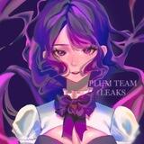 Plum Team Leaks | PTL