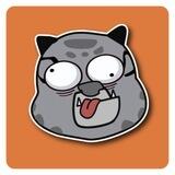 Kungfu-Cat Community