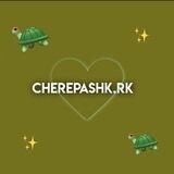 рк черепашки🐢🫶🏻