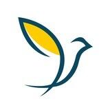 Rira_app