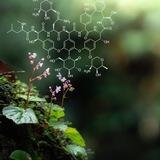 Biologiya || Test kanali