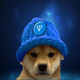 TON Dog Wif Hat
