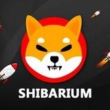 Shibarium Launches - Lounge