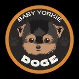 BABY YORKIE DOGE PORTAL