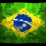 Bolsonaro Livre