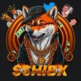 TwitterXIslandBoysElonBankmanFried $SHIBX
