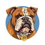 OTIS
