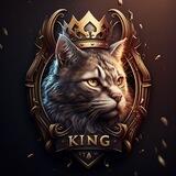 Cat King Portal