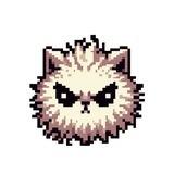 CATTY COIN ($CATTY)- Ruler of All Memes
