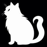 $NEKO Community